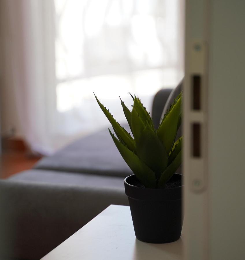 Stylish Apartment Near Tirana Center Экстерьер фото